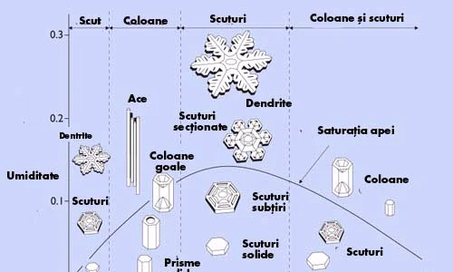 Ce forme iau fulgii de nea în funcţi de temperatură şi umiditate jpeg