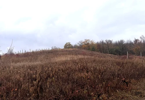 Foto: © Facebook / Agenţia Naţională Arheologică