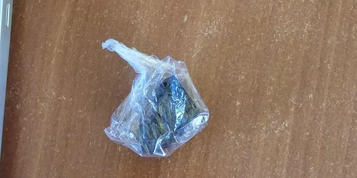 Colete cu cocaină și canabis aduse din Spania cu autocarul Foto IPJ Vâlcea