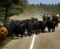 Viaţa coboy-lor din vestul Statelor Unite fotoreportaj de Lucas Jackson FOTO Reuters