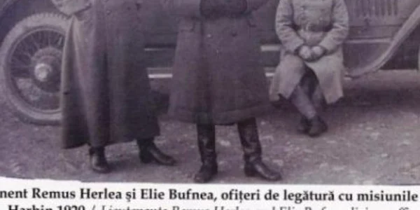 elie bufnea expozitie