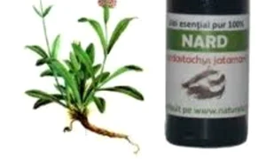 ulei de nard jpeg