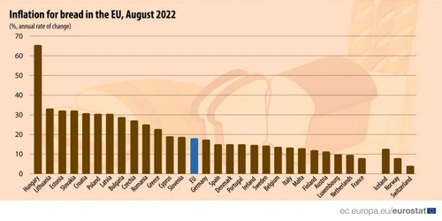 evoluția prețurilor la pâine inflatie eurostat