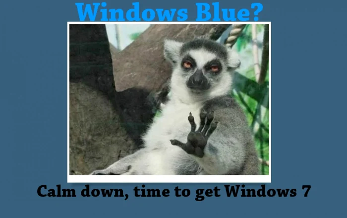 windows blue foto razvan baltaretu/adevarul