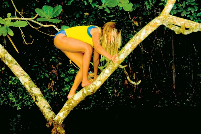 Beyoncé  a pozat  sexy în  palmier (Fotografii: Hepta)