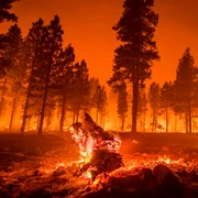 Incendii de vegetatie Foto ISU Huendoara jpg