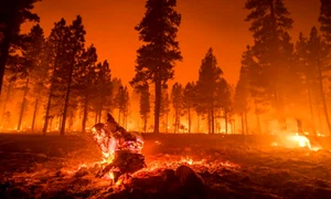 Incendii de vegetatie Foto ISU Huendoara jpg