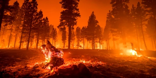 Incendii de vegetatie Foto ISU Huendoara jpg
