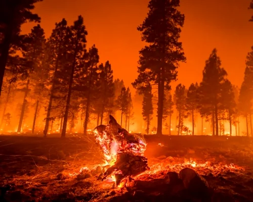Incendii de vegetatie Foto ISU Huendoara jpg