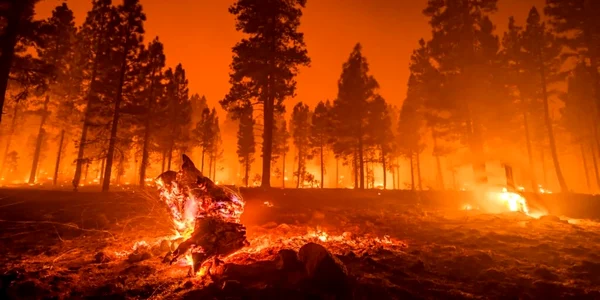 Incendii de vegetatie Foto ISU Huendoara jpg