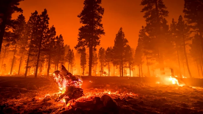 Incendiile de vegetație se pot extinde provocând daune uriașe. Foto: ISU Hunedoara