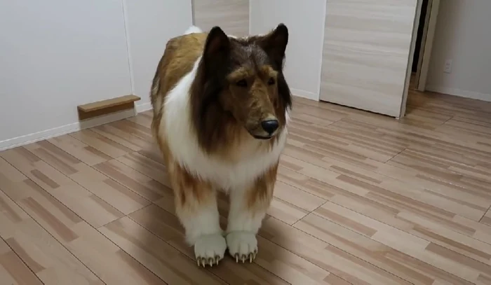 Bărbatul în costum de câine.