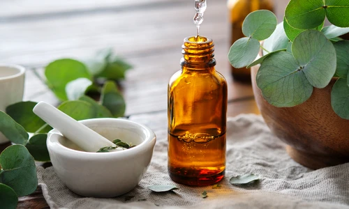 Ulei esential de eucalipt  jpg