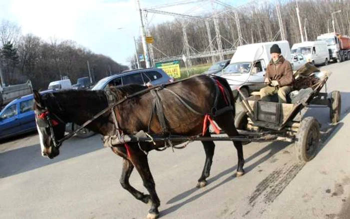 Foto arhivă