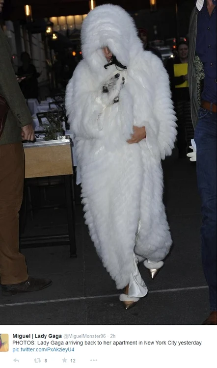 ladz gaga 2 jpeg