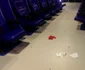 distrugeri stadion ploiesti