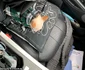 5 scaun auto pisoi jpg jpeg