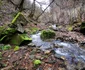 Valea Retisoarei Foto Daniel Guță ADEVĂRUL (14) jpg