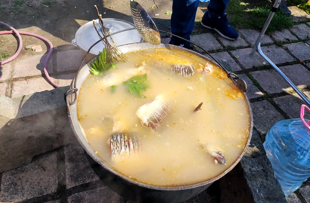 Concurs de gătit borș pescăresc pe Faleza Dunării FOTO: C.Mazilu