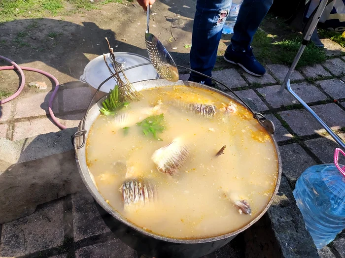 Concurs de gătit borș pescăresc pe Faleza Dunării FOTO: C.Mazilu