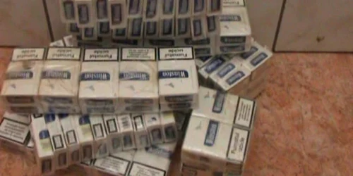 Poliţiştii au găsit un număr de 101 pachete cu ţigări 