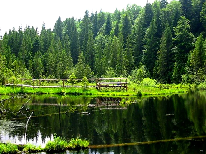 Lacul Negru, lacul cu "plămână" din Vrancea