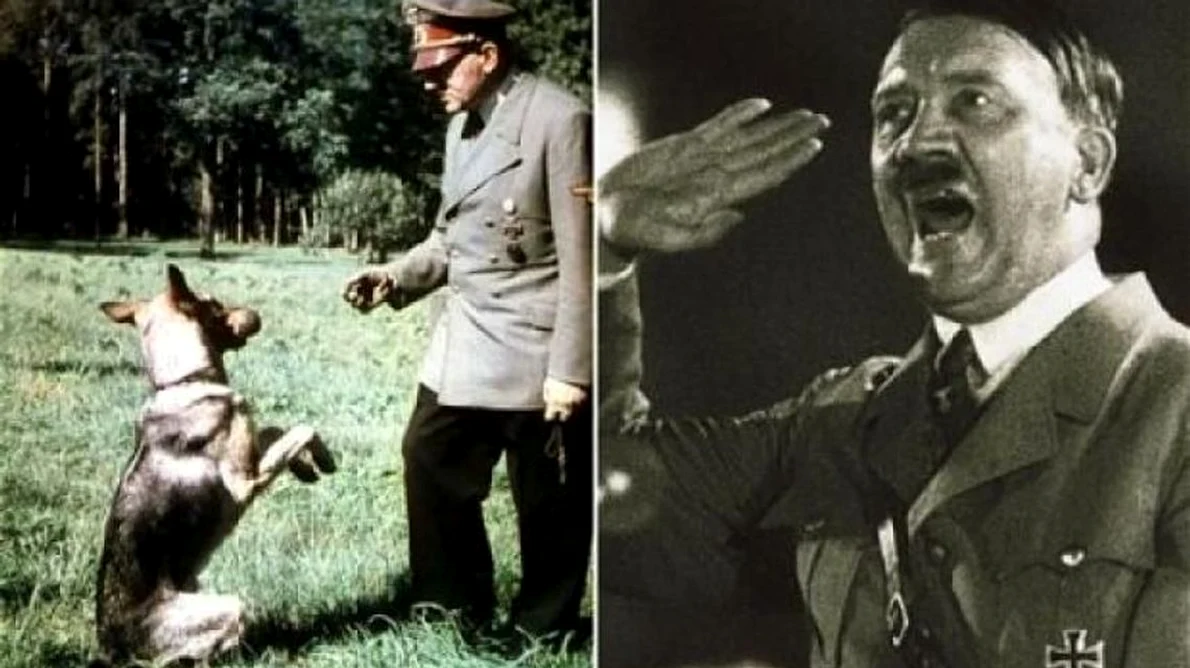 Naziştii ar fi încercat să înveţe câinii să vorbească, pentru a câştiga războiul jpeg