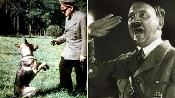 Naziştii ar fi încercat să înveţe câinii să vorbească, pentru a câştiga războiul jpeg