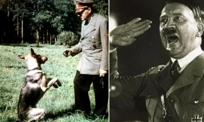 Naziştii ar fi încercat să înveţe câinii să vorbească, pentru a câştiga războiul jpeg