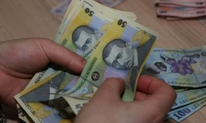 Firma a înşelat statul cu o sumă mare de bani