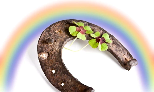 1 61546 original jpg jpeg