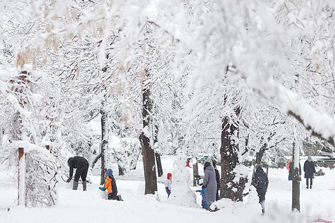 La Bucureşti, copiii  au ieşit în parc  să se joace în zăpadă. FOTO: Inquamphotos