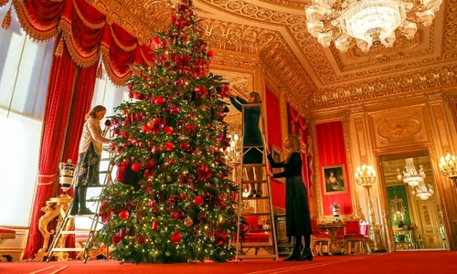 1 profimedia 0485469176 jpg jpeg