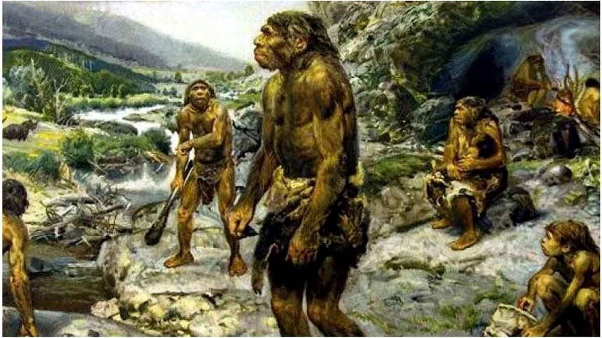 Alergii moştenite de la Omul de Neanderthal jpeg
