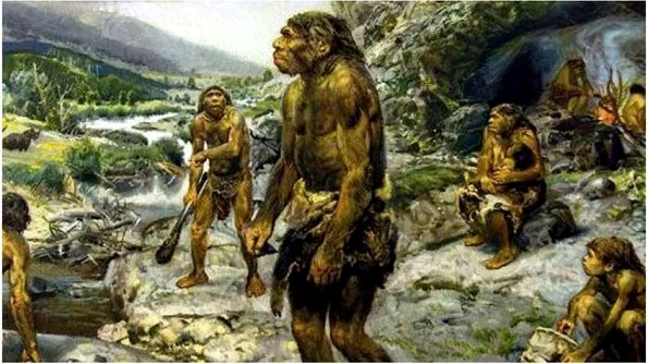 Alergii moştenite de la Omul de Neanderthal jpeg