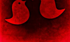 1 73426 original jpg jpeg