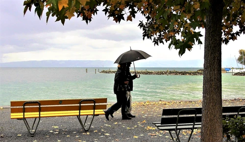 vremea umbrela vant lapovita ploi pixabay jpg