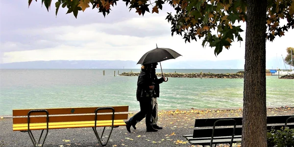 vremea umbrela vant lapovita ploi pixabay jpg