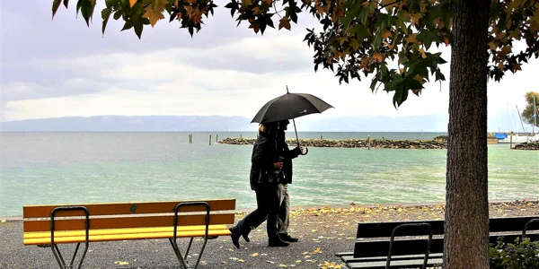 vremea umbrela vant lapovita ploi pixabay jpg