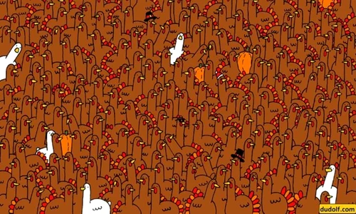 test jpg