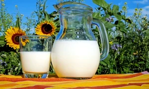 milk 2474993 960 720 jpeg