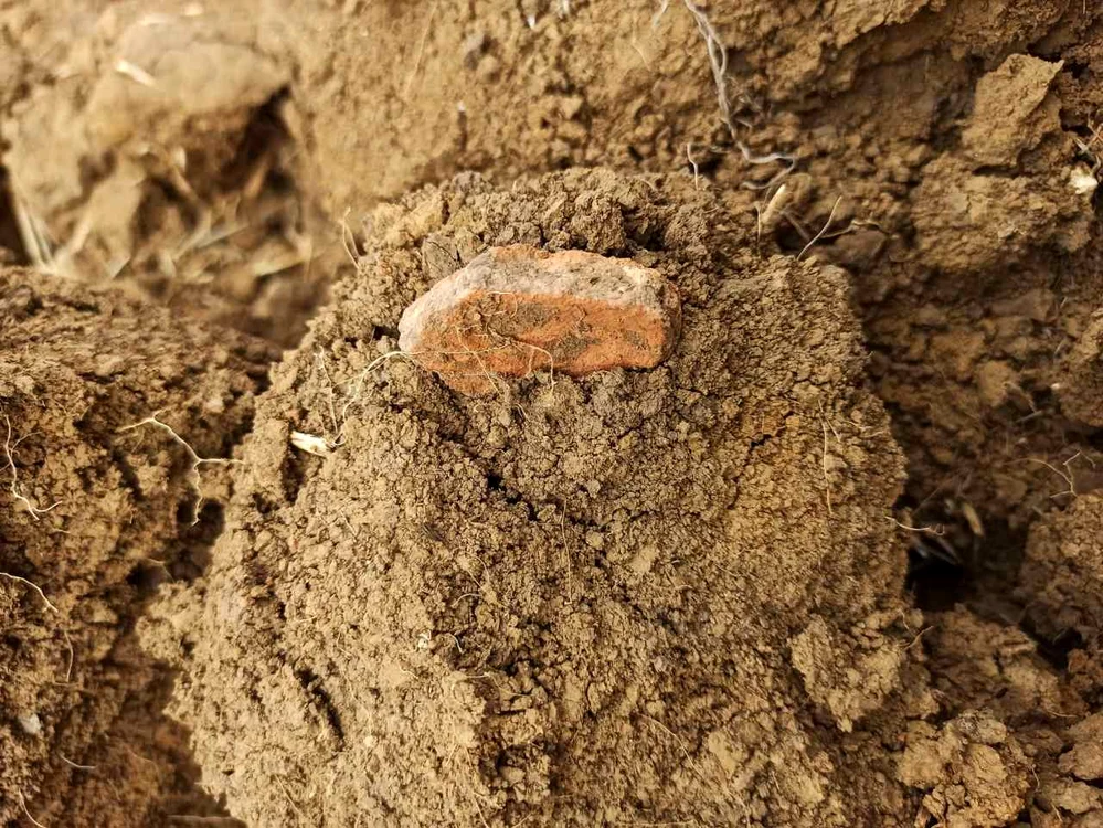 Foto:  Facebook / Vasile Diaconu - archaeologist
