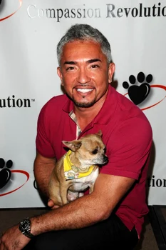 Cesar Millan dresor Foto shutterstock 100781875 jpg