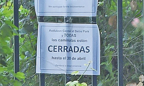 Semnul de la intrare spune clar că parcul e închis din cauza epidemiei până la 30 aprilie jpeg