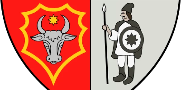 stema bistrita nasaud 