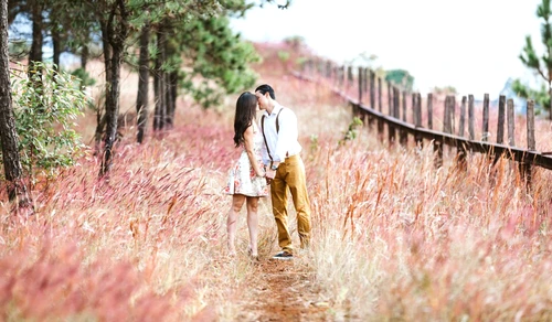 1 77143 original jpg jpeg