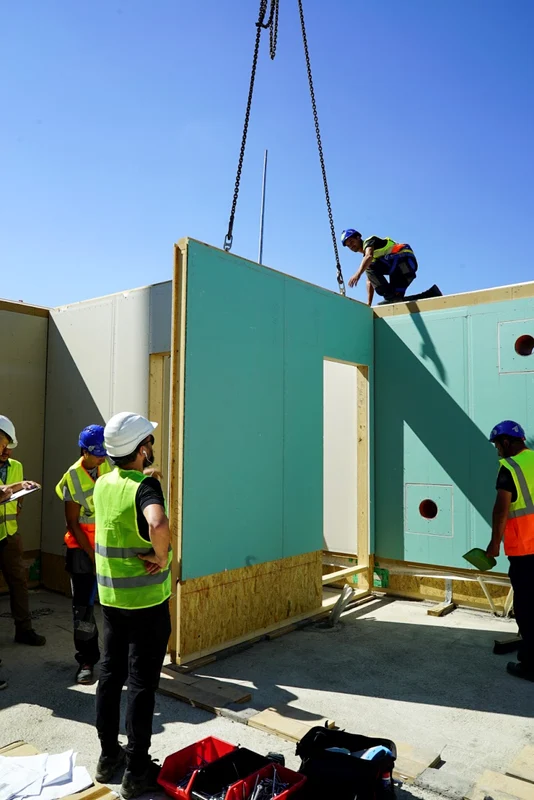 cluj case paie lemn. foto biobuilds/arhiva personala
