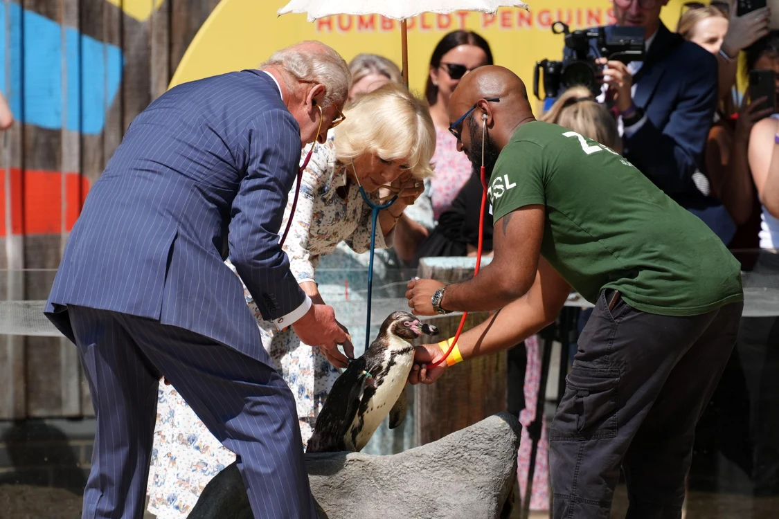 Charles și Camilla la ZOO, Profimedia (2) jpg