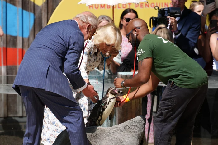 Charles și Camilla la ZOO, Profimedia (2) jpg