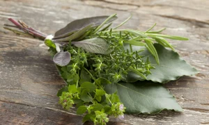 31769406   fresh bouquet garni with different herbs jpeg